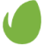 envato